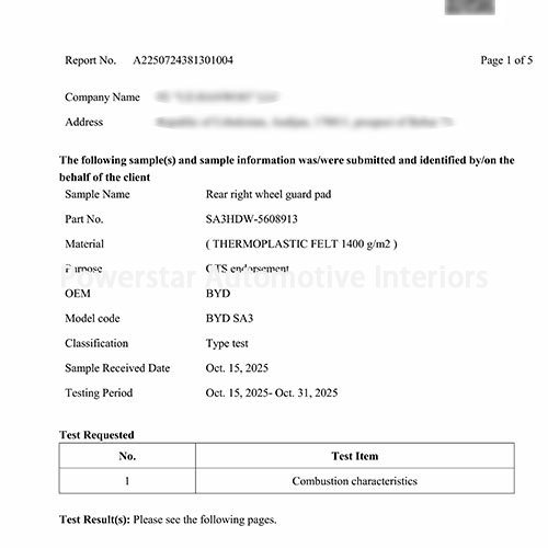 Auditing & certification-Rear right wheel guard pad